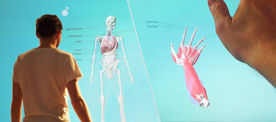 Anatomie-Spiegel \ anatomical hand scan, Interactive Installation